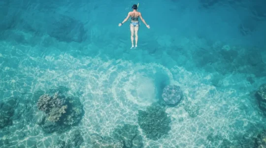 Personne débutante en snorkeling observant les fonds marins depuis la surface dans une eau cristalline